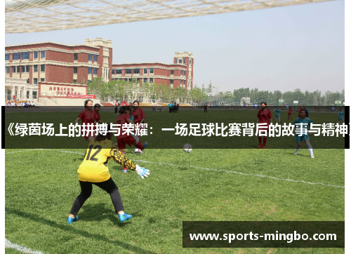 《绿茵场上的拼搏与荣耀：一场足球比赛背后的故事与精神》